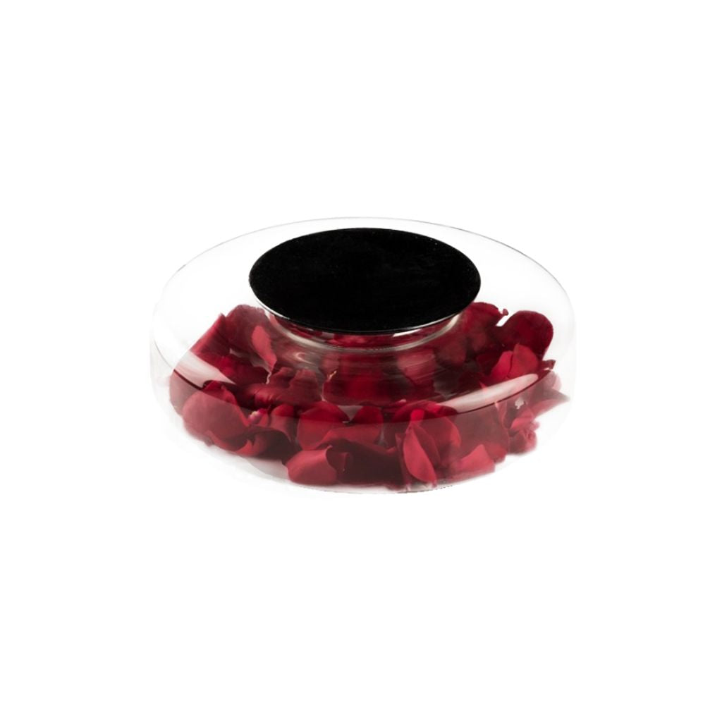 Advance - Obsidian anretter tallerken, 3 stk.