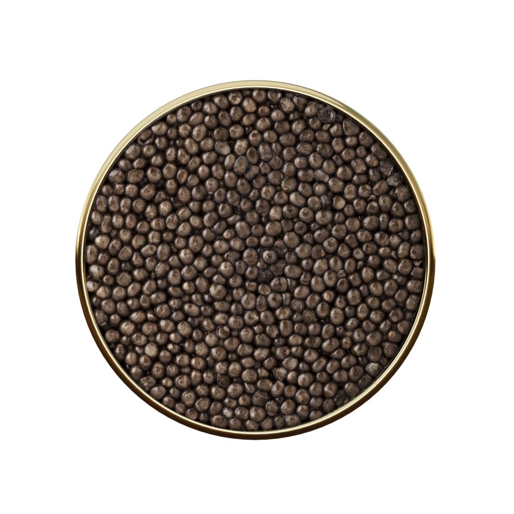 Baerii Caviar 50g - 5 stjerner